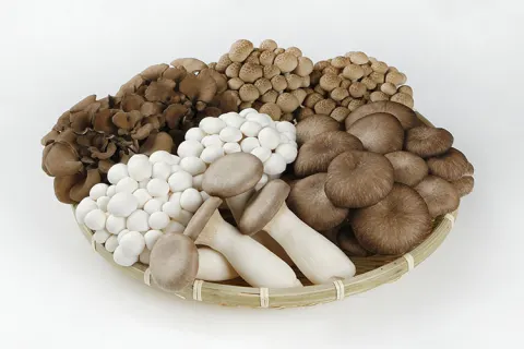 Người bệnh gút cần hạn chế ăn các loại thực phẩm có tốc độ tăng trưởng nhanh