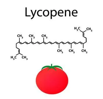 Lycopene trong quả cà chua tốt cho người bệnh u xơ tuyến tiền liệt