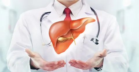 Cây lô hội giúp lá gan khỏe mạnh
