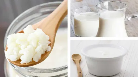 Sữa chua kefir là nguồn lợi khuẩn dồi dào