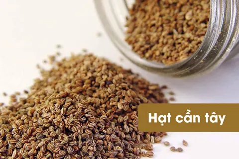 Hạt cần tây tốt cho người bệnh gút