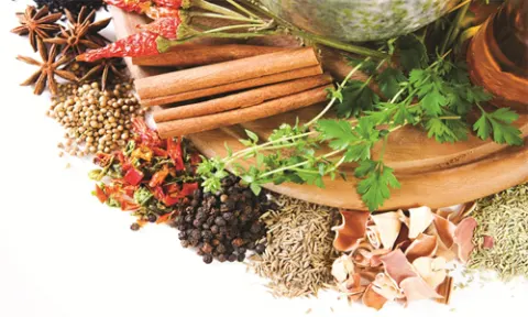 Một số vị dược liệu cho người viêm đại tràng mạn tính