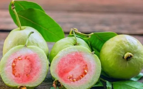 Ổi giúp ổn định đường huyết