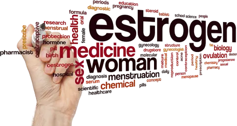 Phụ nữ có nên bổ sung estrogen tổng hợp?
